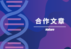 登顶Nature|产量+抗性，鱼和熊掌也可兼得