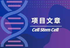 项目文章|人脑研究风云再起，小胶质细胞研究新进展